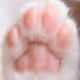 108ten