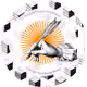 Adanindia