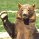 TheoBear