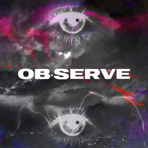 OpenSea profile picture for @observe