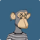 AmyNelsonpvj1ypz32d