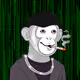 SlimZ9907