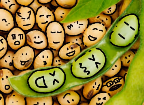 OpenSea banner for @soybean