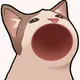 POPPCATTDEV
