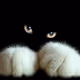 Hellacat