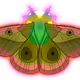 0x1262c7dbd2217ee639899c80cb0b60d4636559ca