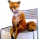 Fox2