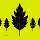 RobinhoodLeaf