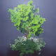 voxelgarden