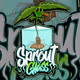 SproutGlass