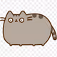 spottedtabbycat
