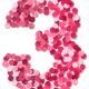 0x12df51d6cfafb4539444b28e1b86fb6b796b12a4
