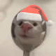 0x12e702d5e68c2f15e7ae1010333caa45198d03f6