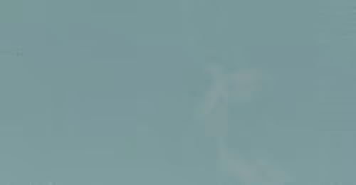 OpenSea banner for @Contra
