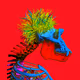 CryptoNoob-001