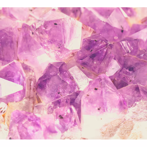 OpenSea banner for @BURNED