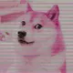 0x13221d8d58c58380fcfac483b13f04f6e299e20b