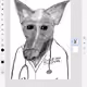 drDogMD