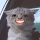 Thomasbenny