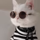 sharon65