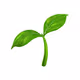 SEEDSdeployer