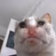 AAAHHHHHHHHH