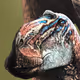 ET69