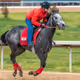 DoubleDeeRacing