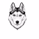 Xaski_Eth