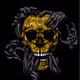 0x13ac2dc3b9e1f7863a8527a6a5543aab202391fb