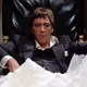 OVOXOscarface