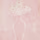 GPDCLAIRE_NFT