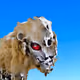 SkyJaguar
