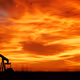 PumpJackNoDump