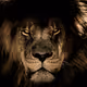Cryptonian_42