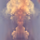 _ofcode