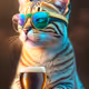 SamTheCat