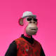 PAVA_NFT