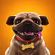 Cyberpug2022