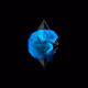 Rambod0