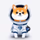 ASTEROID_SHIBA