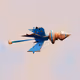 Crypto_Spaceships