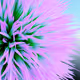 0x14f0e085870131e803177829ffd77b32977c6b32