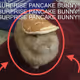 PancakeBunnysNFTs