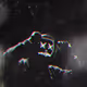 Dryptoknight