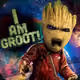 iamgr88t