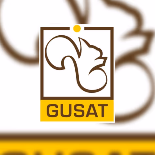 OpenSea profile picture for @Gusat
