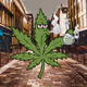 Thc-Friends