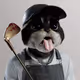 pete_sim1