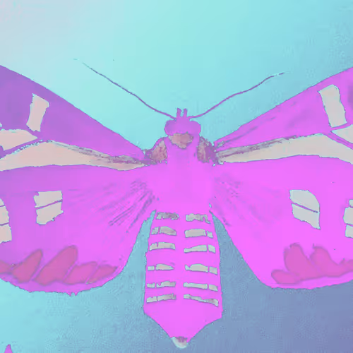 OpenSea banner for @Romulo